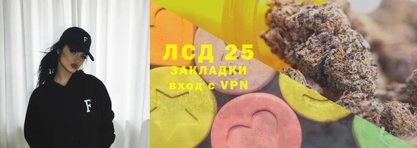 ECSTASY Горняк