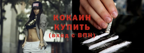 ECSTASY Горняк