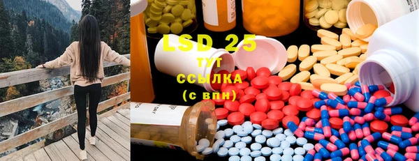 ECSTASY Горняк