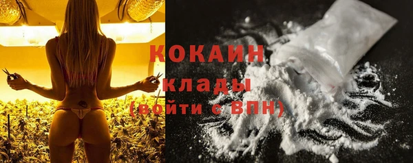 ECSTASY Горняк