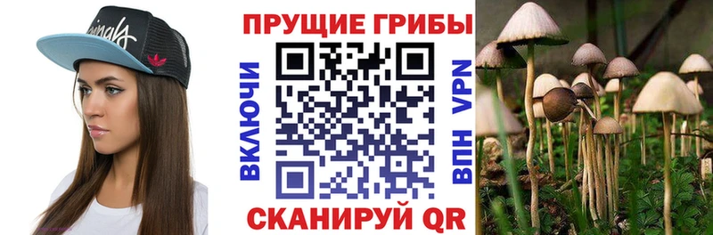 Псилоцибиновые грибы мицелий  как найти закладки  Заречный 