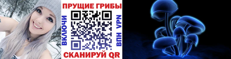 Псилоцибиновые грибы Cubensis Заречный